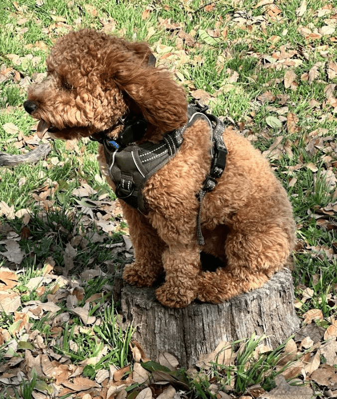 Screenshot 2025-10-24 201735