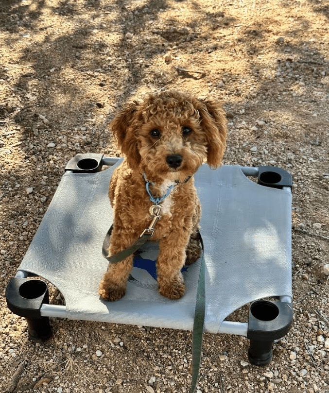 Screenshot 2025-10-24 201742