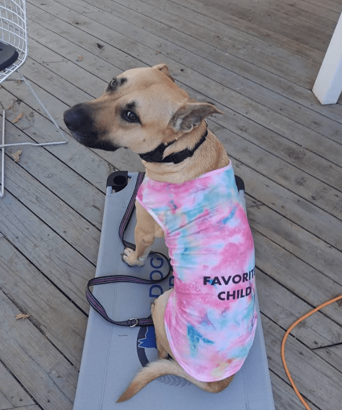 Screenshot 2025-10-24 201812