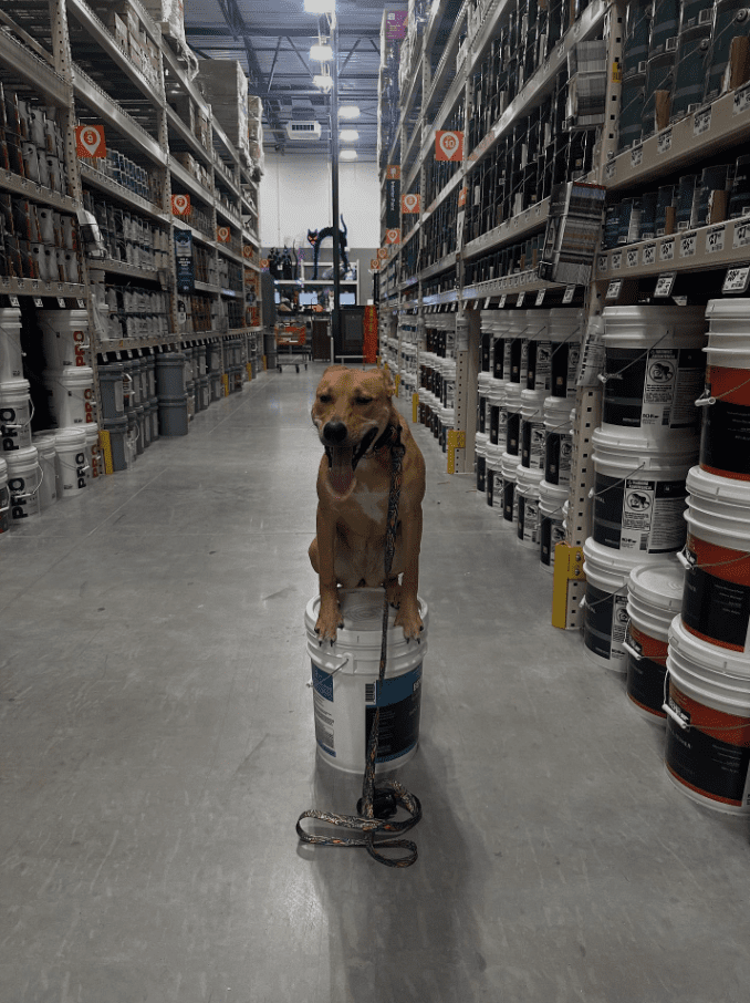 Screenshot 2025-10-24 202051